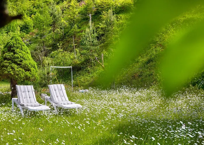 Apartamento Frieder *